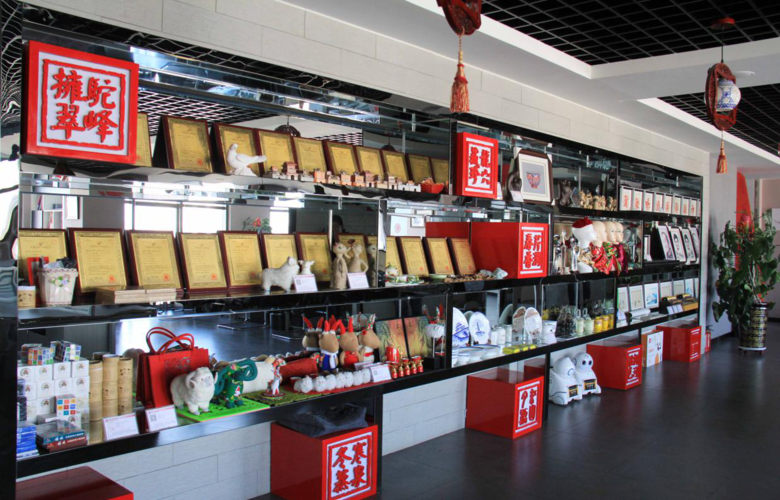 榆林市榆陽區名人風采策劃有限公司 以專業企業策劃賦能地方品牌騰飛